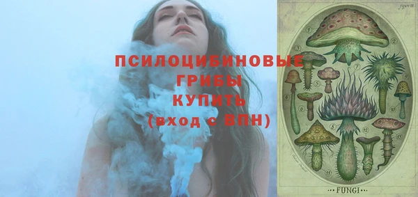 индика Касимов