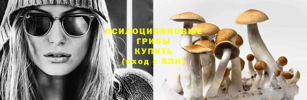 mdpv Карпинск