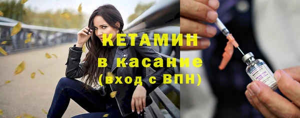индика Касимов