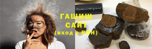 индика Касимов