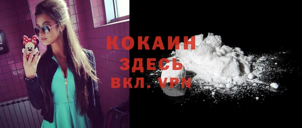 индика Касимов
