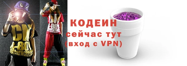 индика Касимов