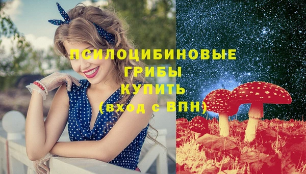 индика Касимов