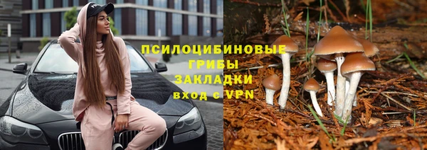 индика Касимов