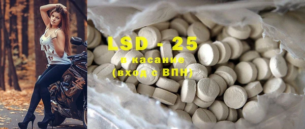 индика Касимов