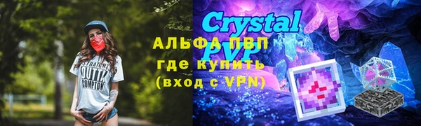 PSILOCYBIN Кинешма