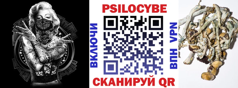Купить закладки  Миньяр  Галлюциногенные грибы Magic Shrooms 
